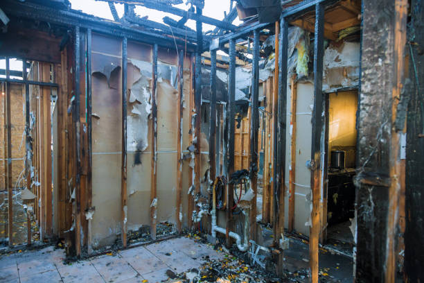 Professional Fire Damage Removal technician working in Wimberley, TX